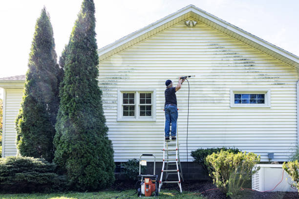 Best Fence Cleaning  in Teaticket, MA